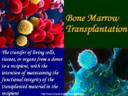 Bone Marrow Transplantation