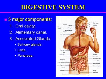 DIGESTIVE SYSTEM