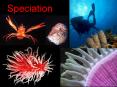 EVOLUTION:   Unifying Concept in Biology PowerPoint PPT Presentation