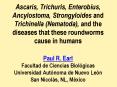 Ascaris, Trichuris, Enterobius, Ancylostoma, Strongyloides and Trichinella (Nematoda), and the diseases that these roundworms cause in humans Paul R. Earl Facultad de Ciencias Biol PowerPoint PPT Presentation