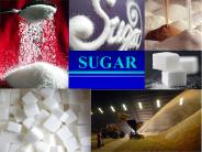 SUGAR
