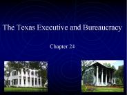 The Texas Executive and Bureaucracy