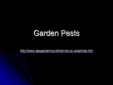 Garden Pests