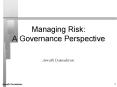 Managing Risk: A Governance Perspective PowerPoint PPT Presentation