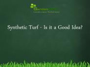 Synthetic Turf - Is it a Goog Idea?