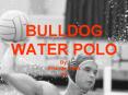 BULLDOG WATER POLO PowerPoint PPT Presentation