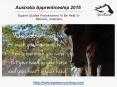 Wisdom Horse Apprenticeship in Australia PowerPoint PPT Presentation