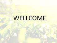 What are tea room and regency tea room?