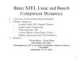 Bates XFEL Linac and Bunch Compressor Dynamics PowerPoint PPT Presentation