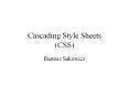 Cascading Style Sheets (CSS) PowerPoint PPT Presentation