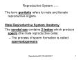 Reproductive System rev 12-12 PowerPoint PPT Presentation