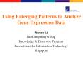 Using Emerging Patterns to Analyze Gene Expression Data PowerPoint PPT Presentation