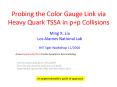 Probing the Color Gauge Link via Heavy Quark TSSA in p p Collisions PowerPoint PPT Presentation