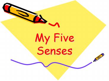 My Five Senses