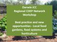 Darwin ICC PowerPoint PPT Presentation