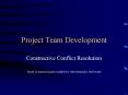 Project Team Development PowerPoint PPT Presentation