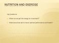 Nutrition and Exercise PowerPoint PPT Presentation