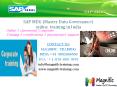 sap mdg online training in Dubai PowerPoint PPT Presentation