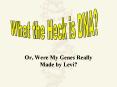 Or, Were My Genes Really Made by Levi? PowerPoint PPT Presentation