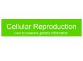 Cellular Reproduction PowerPoint PPT Presentation
