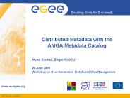 Distributed Metadata with the AMGA Metadata Catalog