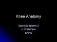 Knee Anatomy PowerPoint PPT Presentation