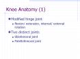 Knee Anatomy (1) PowerPoint PPT Presentation