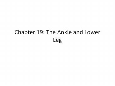 Chapter 19: The Ankle and Lower Leg