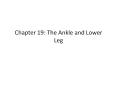 Chapter 19: The Ankle and Lower Leg PowerPoint PPT Presentation