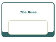 The Knee
