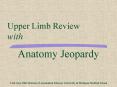 Anatomy Jeopardy    Tom Gest, PhD Division of Anatomical Sciences University of Michigan Medical School PowerPoint PPT Presentation