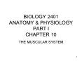 BIOLOGY 2401 ANATOMY PowerPoint PPT Presentation