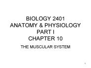 BIOLOGY 2401 ANATOMY
