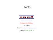 Plants