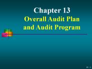Chapter 13 Overall Audit Plan and Audit Program