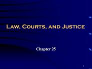 Law, Courts, and Justice