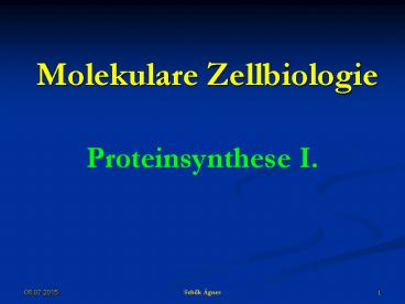 Molekulare Zellbiologie