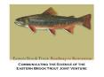 Communicating the Science of the Eastern Brook Trout Joint Venture PowerPoint PPT Presentation