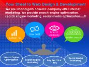 SEO Company in Chandigarh