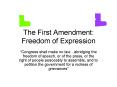 The First Amendment: Freedom of Expression PowerPoint PPT Presentation