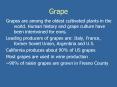 Grape PowerPoint PPT Presentation