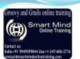 Groovy and grails online training | Online Groovy and grails Training in USA, UK, Canada, Malaysia, Australia, India, Singapore PowerPoint PPT Presentation