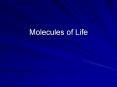 Molecules of Life PowerPoint PPT Presentation
