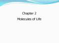 Molecules of Life PowerPoint PPT Presentation