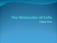 The Molecules of Cells PowerPoint PPT Presentation
