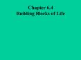 Chapter 6.4 Building Blocks of Life PowerPoint PPT Presentation