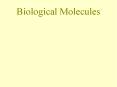 Biological Molecules PowerPoint PPT Presentation