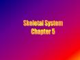 Skeletal System PowerPoint PPT Presentation