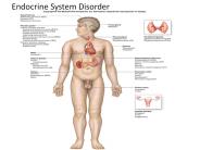 Endocrine System Disorder