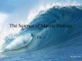 The Science of Marine Biology PowerPoint PPT Presentation